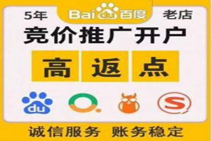 行业领先企业的SEM运营策略案例解析